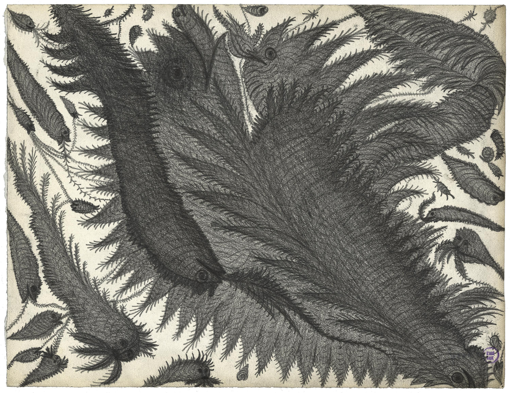 undefined bouttier bâle