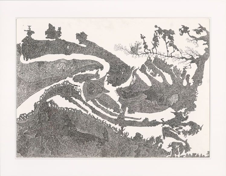 undefined Schwarzer Reiher