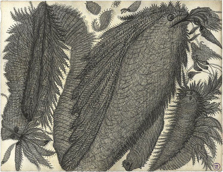 undefined sans titre