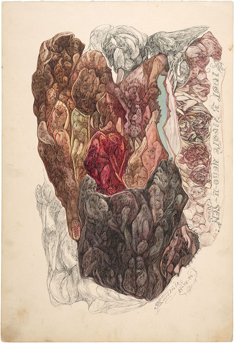 undefined Vie dans la vie ou bien le rêve